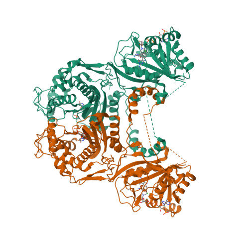 DHFR-TS protein structure